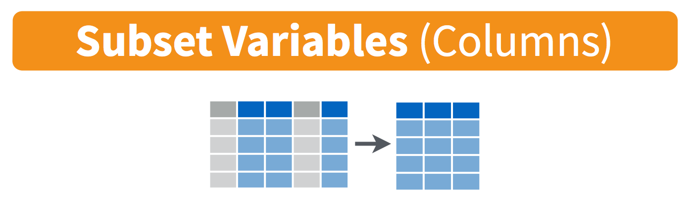 5 Manipulating data with dplyr Introduction to R tidyverse