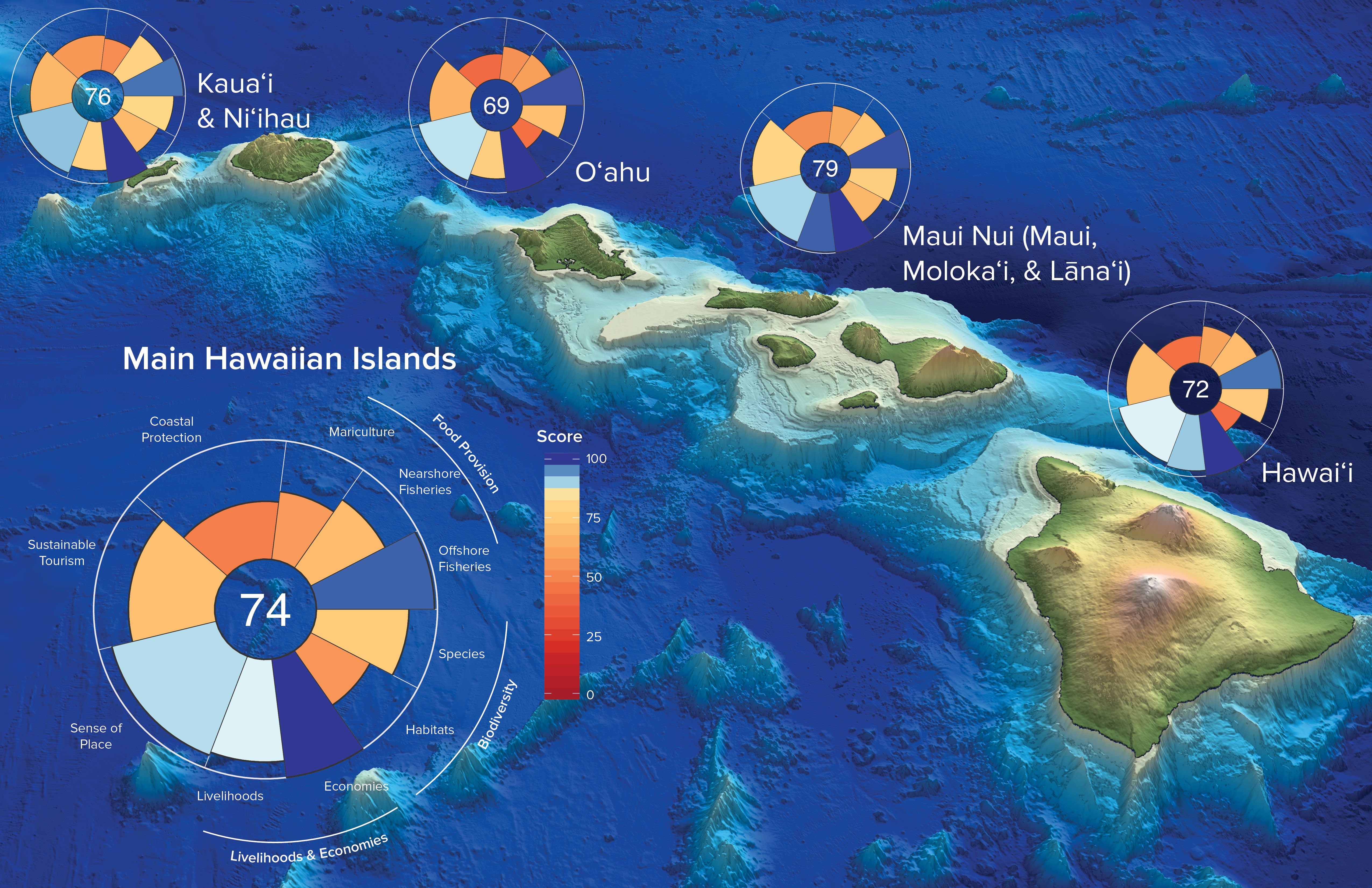 Ocean resources. Hawaii economy. Ocean Habitat.